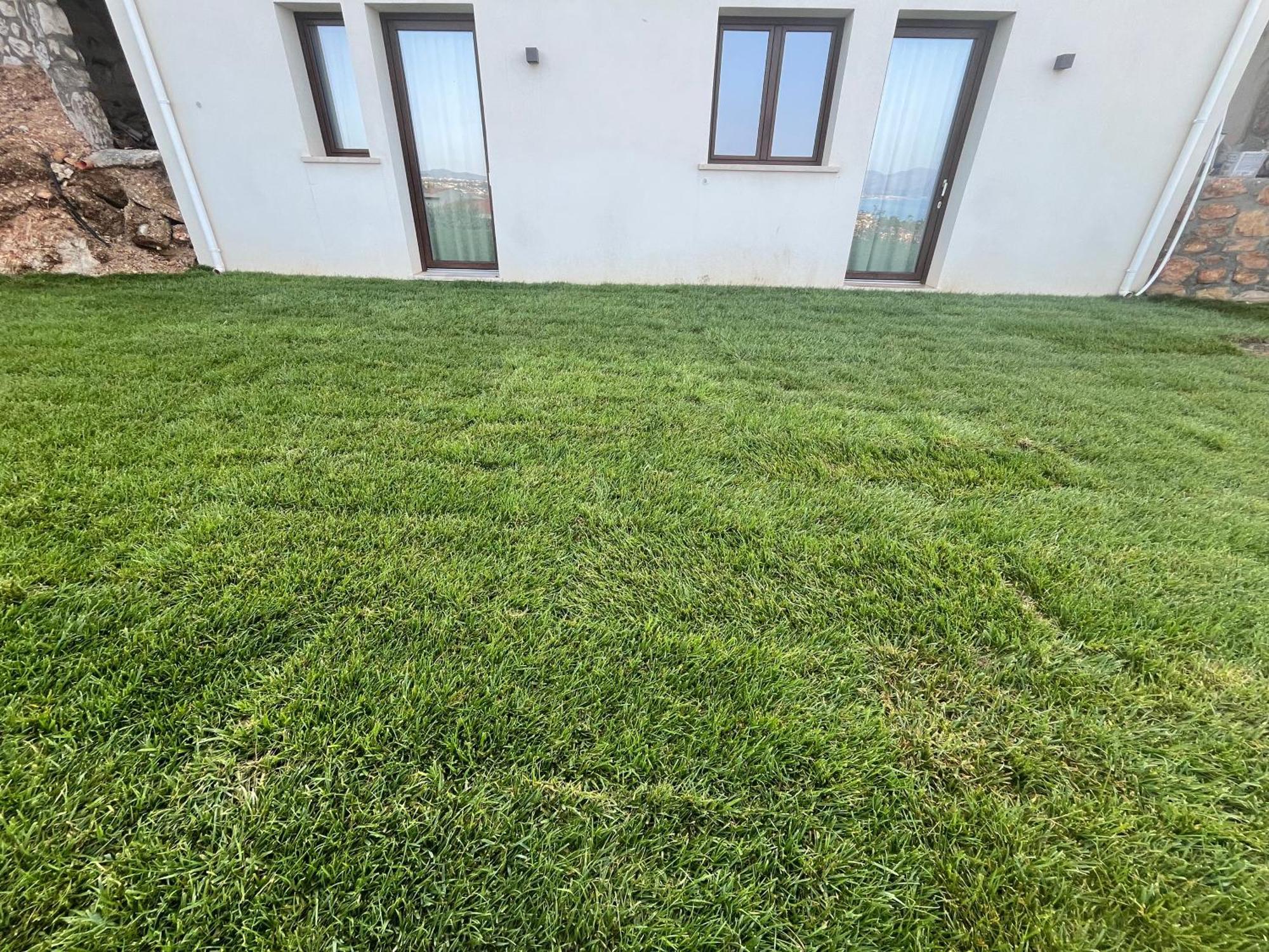 Tenuta Rapillo Castellammare del Golfo Exteriér fotografie